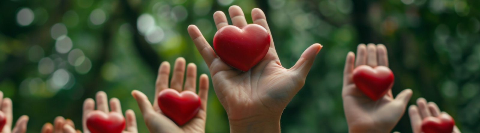 Institui&ccedil;&otilde;es que precisam de voc&ecirc;